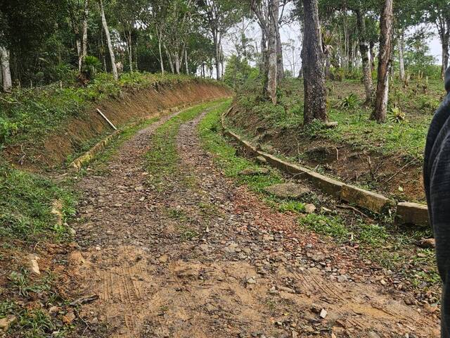 #21 - Chácara para Venda em Embu-Guaçu - SP - 2