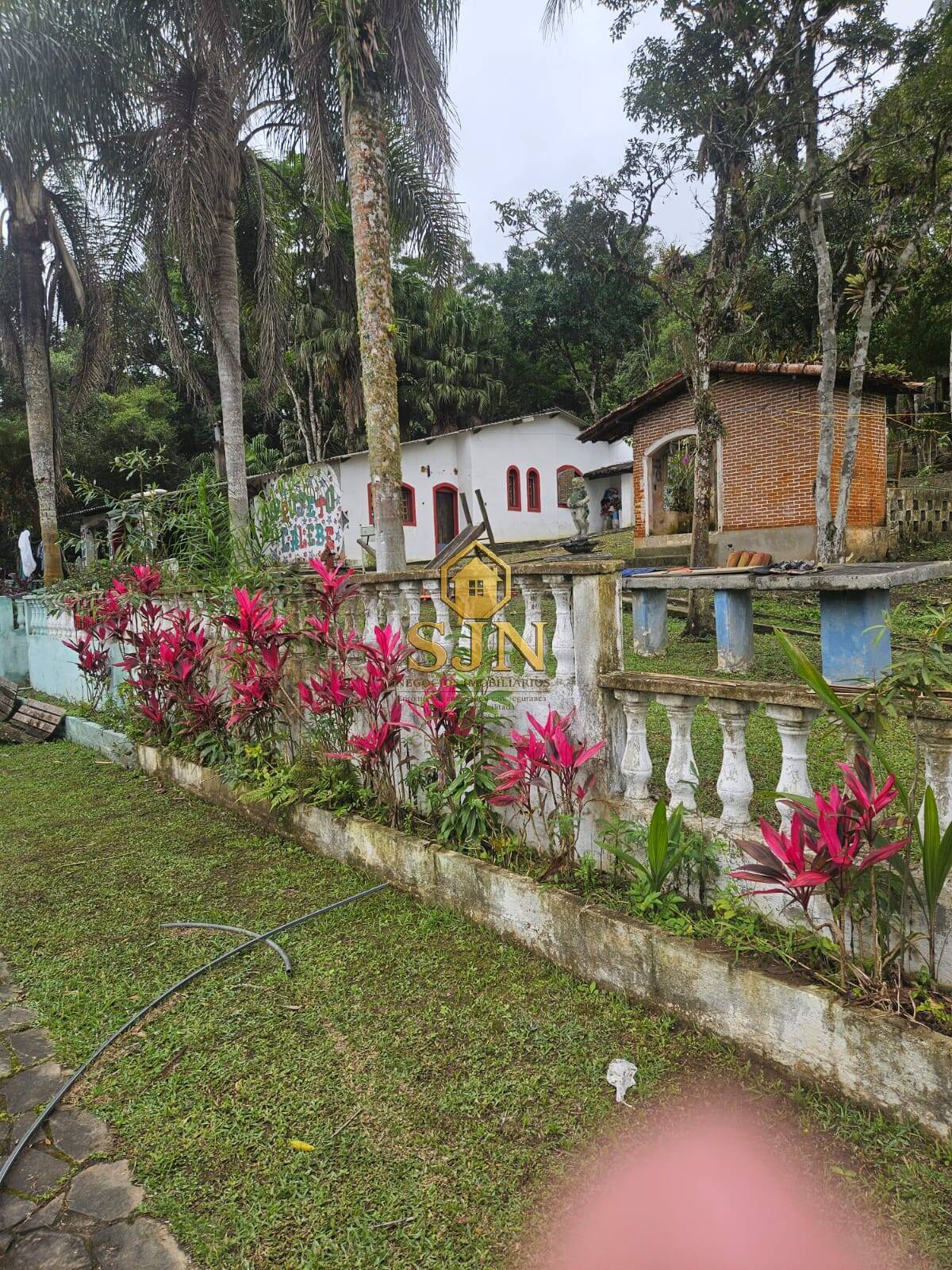 Sítio, 3 quartos, 2 hectares - Foto 6